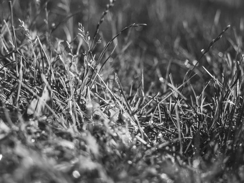 sudoku versus mode screenshot 1